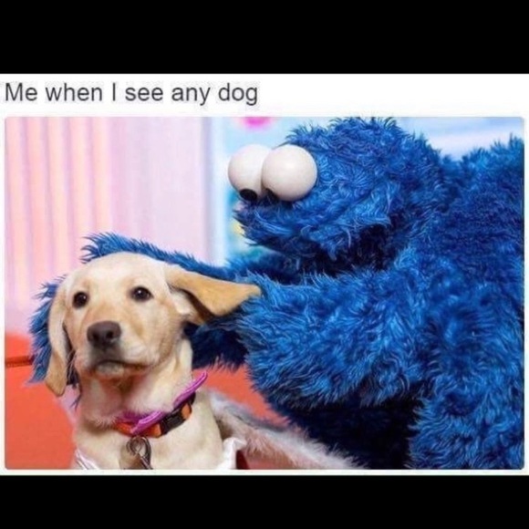 Best Friend True Love - Picture 11 of 13